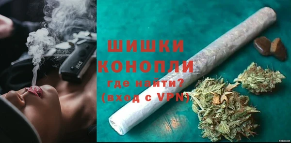 прущие грибы Горнозаводск
