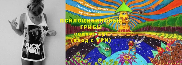 стафф Сясьстрой